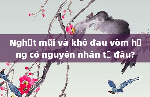Nghẹt mũi và khô đau vòm họng có nguyên nhân từ đâu?