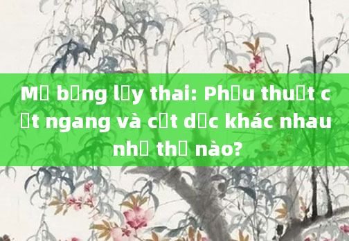 Mổ bụng lấy thai: Phẫu thuật cắt ngang và cắt dọc khác nhau như thế nào?