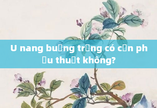 U nang buồng trứng có cần phẫu thuật không?