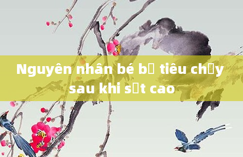 Nguyên nhân bé bị tiêu chảy sau khi sốt cao