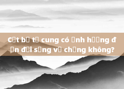 Cắt bỏ tử cung có ảnh hưởng đến đời sống vợ chồng không?