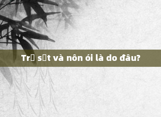 Trẻ sốt và nôn ói là do đâu?