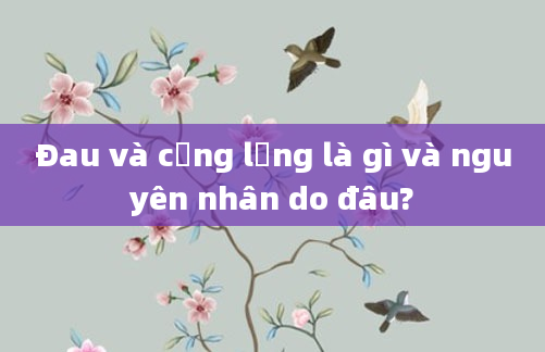 Đau và cứng lưng là gì và nguyên nhân do đâu?