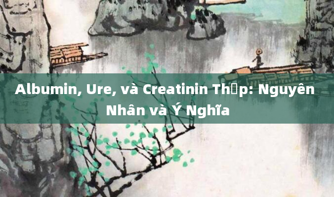 Albumin, Ure, và Creatinin Thấp: Nguyên Nhân và Ý Nghĩa