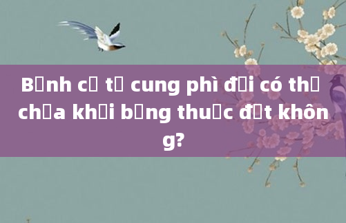 Bệnh cổ tử cung phì đại có thể chữa khỏi bằng thuốc đặt không?