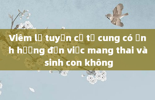 Viêm lộ tuyến cổ tử cung có ảnh hưởng đến việc mang thai và sinh con không