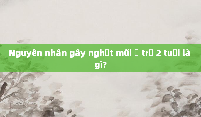 Nguyên nhân gây nghẹt mũi ở trẻ 2 tuổi là gì?