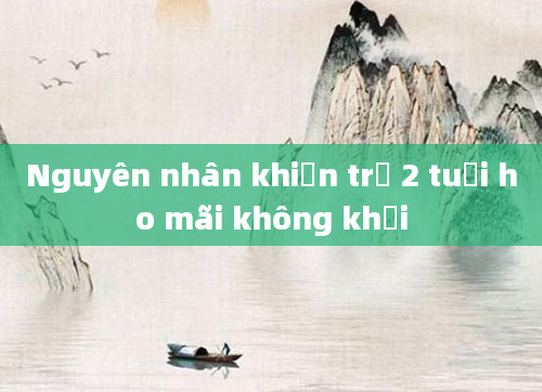 Nguyên nhân khiến trẻ 2 tuổi ho mãi không khỏi