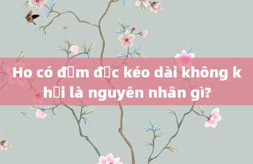 Ho có đờm đặc kéo dài không khỏi là nguyên nhân gì?