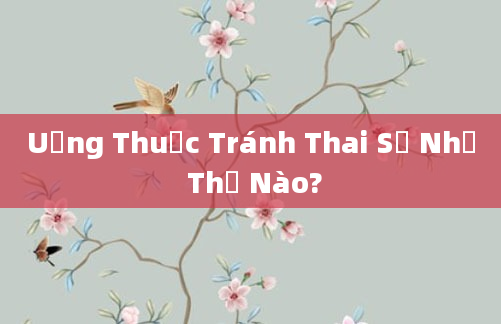 Uống Thuốc Tránh Thai Sẽ Như Thế Nào?