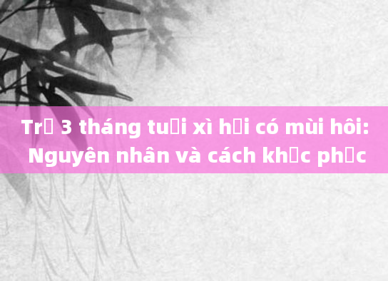 Trẻ 3 tháng tuổi xì hơi có mùi hôi: Nguyên nhân và cách khắc phục