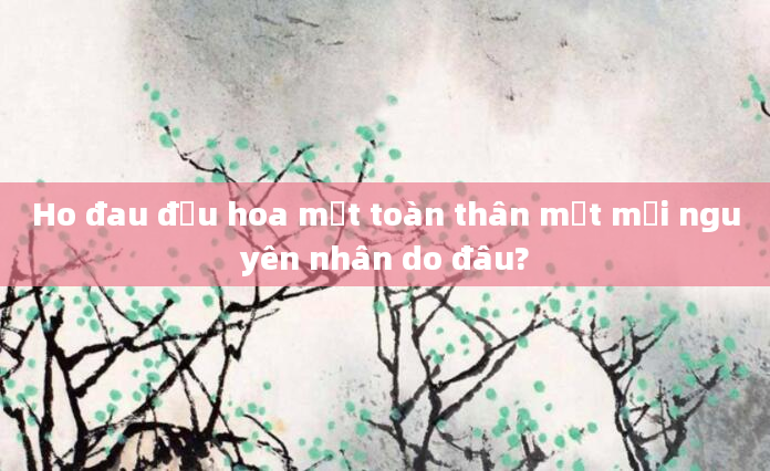 Ho đau đầu hoa mắt toàn thân mệt mỏi nguyên nhân do đâu?