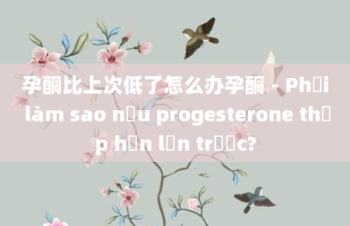 孕酮比上次低了怎么办孕酮 - Phải làm sao nếu progesterone thấp hơn lần trước?
