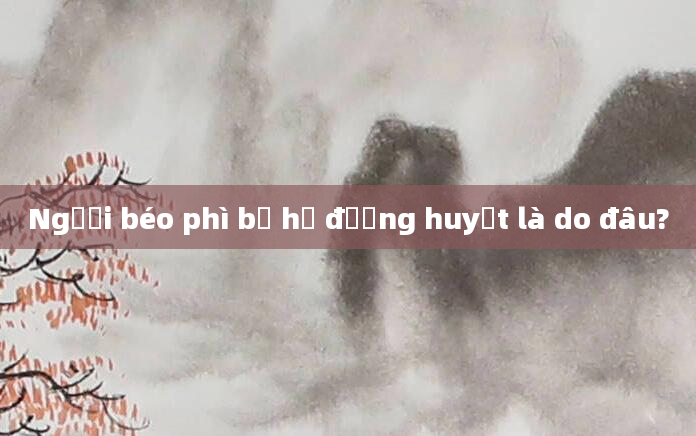 Người béo phì bị hạ đường huyết là do đâu?
