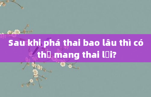 Sau khi phá thai bao lâu thì có thể mang thai lại?