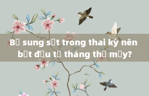 Bổ sung sắt trong thai kỳ nên bắt đầu từ tháng thứ mấy?