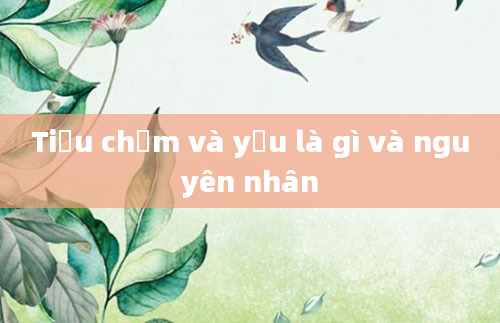 Tiểu chậm và yếu là gì và nguyên nhân