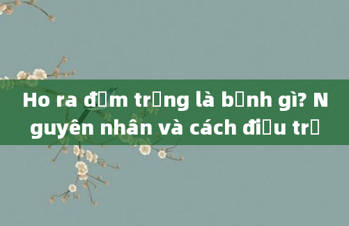 Ho ra đờm trắng là bệnh gì? Nguyên nhân và cách điều trị