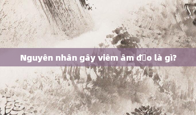 Nguyên nhân gây viêm âm đạo là gì?