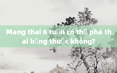 Mang thai 6 tuần có thể phá thai bằng thuốc không?