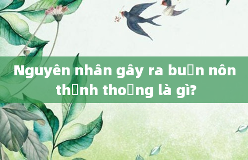 Nguyên nhân gây ra buồn nôn thỉnh thoảng là gì?