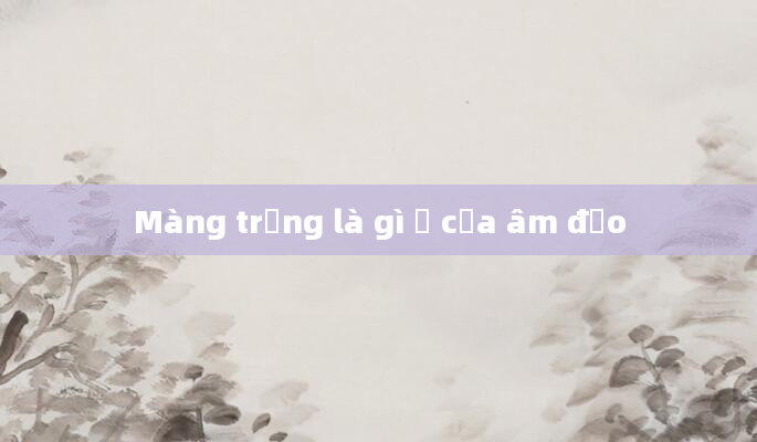 Màng trắng là gì ở cửa âm đạo