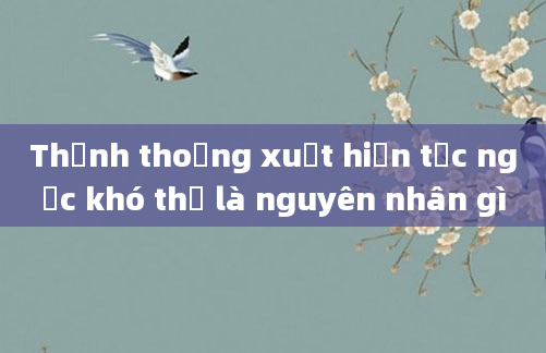 Thỉnh thoảng xuất hiện tức ngực khó thở là nguyên nhân gì