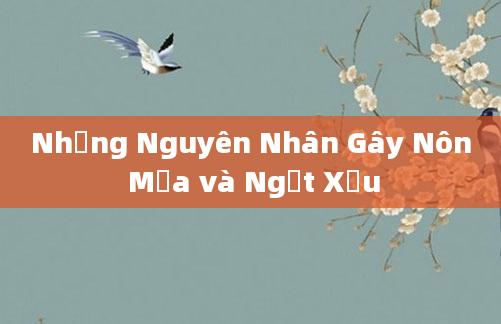 Những Nguyên Nhân Gây Nôn Mửa và Ngất Xỉu