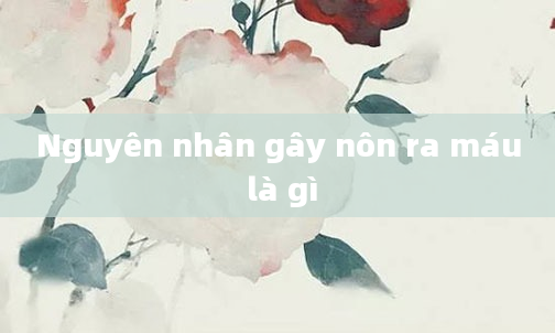 Nguyên nhân gây nôn ra máu là gì