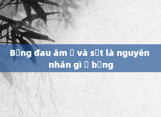 Bụng đau âm ỉ và sốt là nguyên nhân gì ở bụng