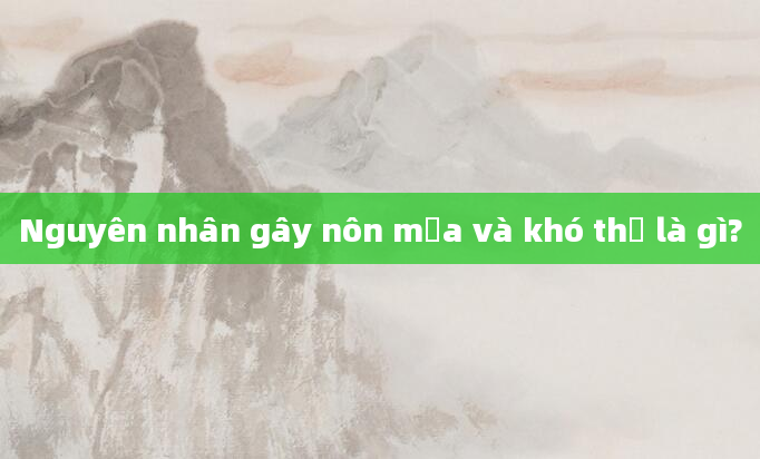 Nguyên nhân gây nôn mửa và khó thở là gì?