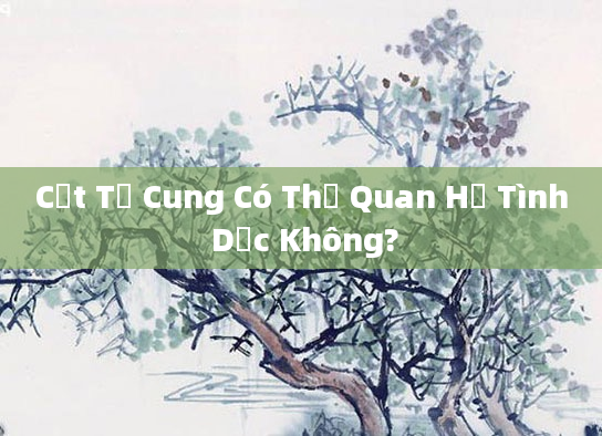 Cắt Tử Cung Có Thể Quan Hệ Tình Dục Không?