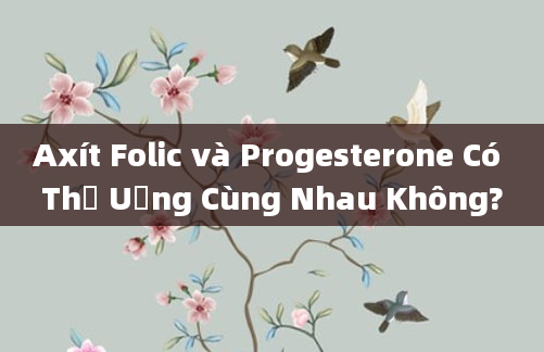 Axít Folic và Progesterone Có Thể Uống Cùng Nhau Không?