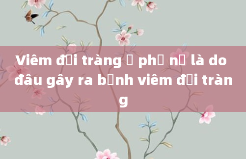 Viêm đại tràng ở phụ nữ là do đâu gây ra bệnh viêm đại tràng