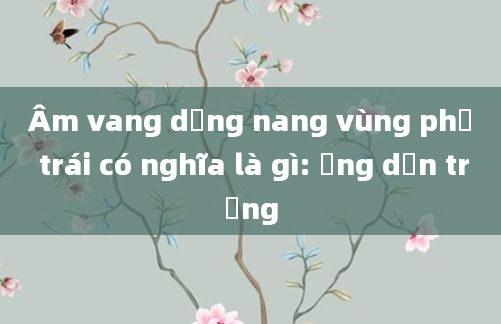 Âm vang dạng nang vùng phụ trái có nghĩa là gì: Ống dẫn trứng