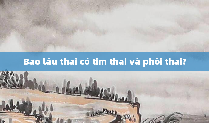 Bao lâu thai có tim thai và phôi thai?