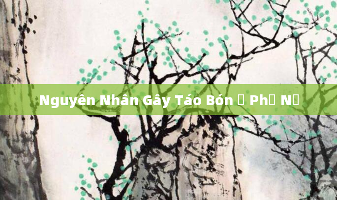Nguyên Nhân Gây Táo Bón Ở Phụ Nữ