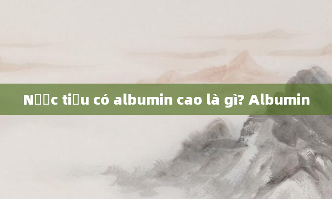Nước tiểu có albumin cao là gì? Albumin