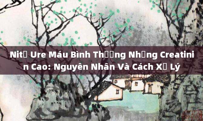 Nitơ Ure Máu Bình Thường Nhưng Creatinin Cao: Nguyên Nhân Và Cách Xử Lý