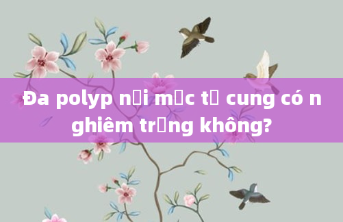 Đa polyp nội mạc tử cung có nghiêm trọng không?