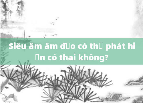 Siêu âm âm đạo có thể phát hiện có thai không?