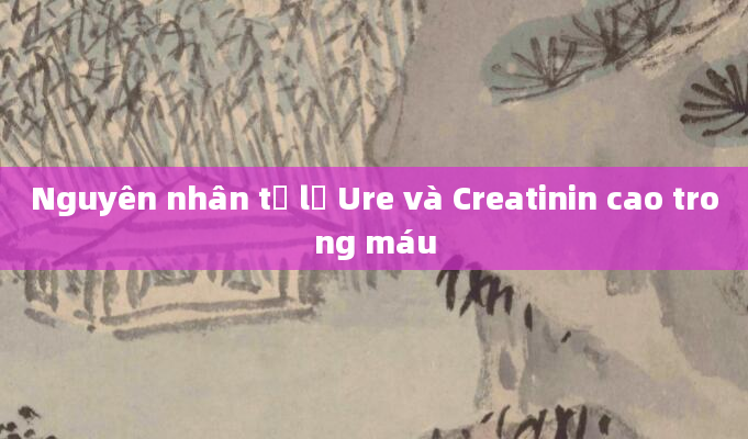 Nguyên nhân tỷ lệ Ure và Creatinin cao trong máu