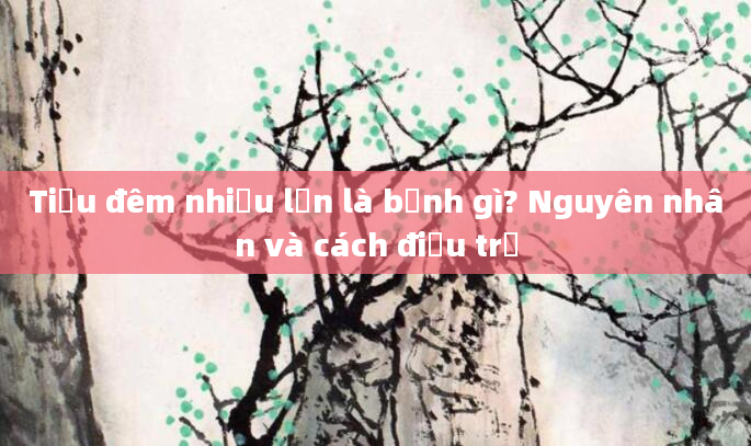 Tiểu đêm nhiều lần là bệnh gì? Nguyên nhân và cách điều trị