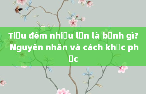Tiểu đêm nhiều lần là bệnh gì? Nguyên nhân và cách khắc phục