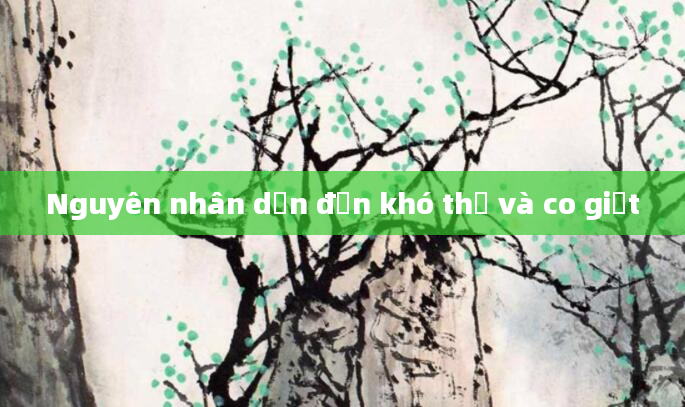 Nguyên nhân dẫn đến khó thở và co giật