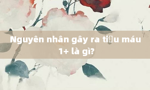 Nguyên nhân gây ra tiểu máu 1+ là gì?