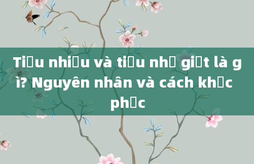 Tiểu nhiều và tiểu nhỏ giọt là gì? Nguyên nhân và cách khắc phục