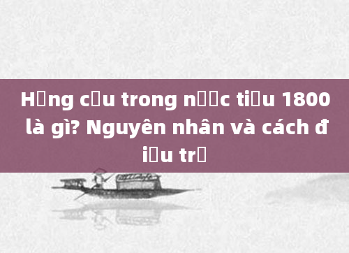 Hồng cầu trong nước tiểu 1800 là gì? Nguyên nhân và cách điều trị