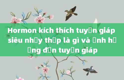 Hormon kích thích tuyến giáp siêu nhạy thấp là gì và ảnh hưởng đến tuyến giáp