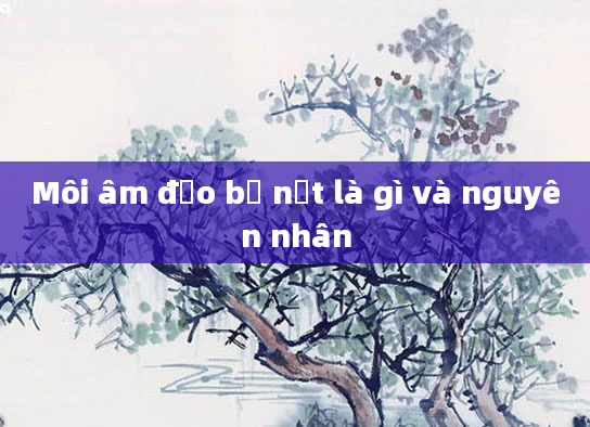 Môi âm đạo bị nứt là gì và nguyên nhân